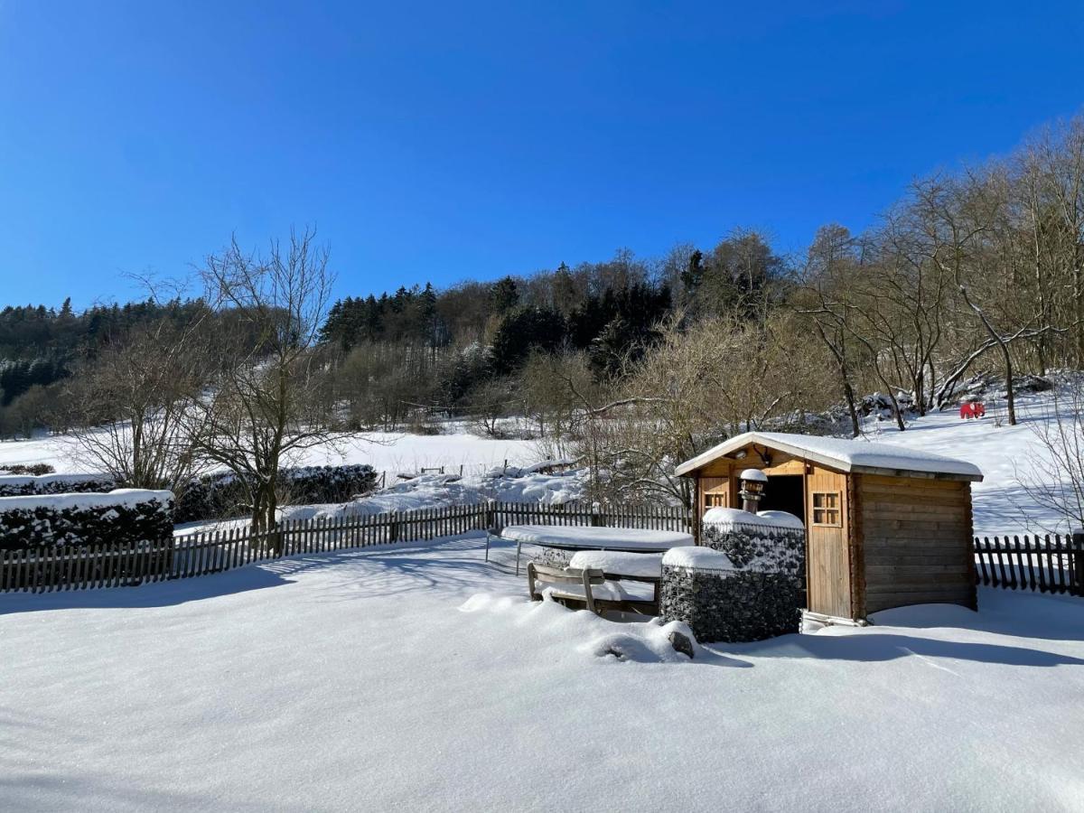 Ferienwohnung Up Willingen-Schwalefeld Willingen  Buitenkant foto