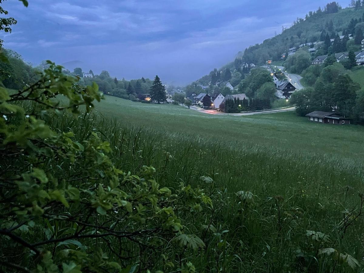 Ferienwohnung Up Willingen-Schwalefeld Willingen  Buitenkant foto