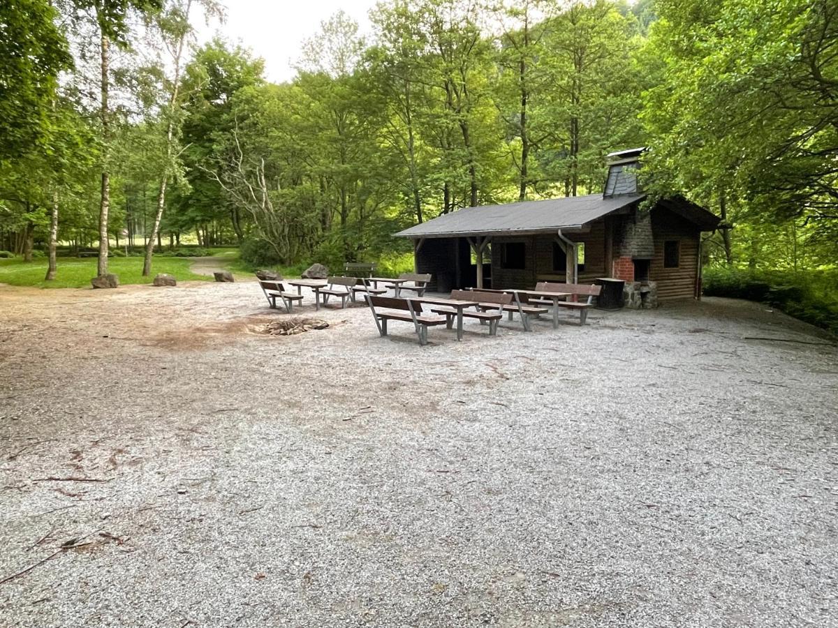 Ferienwohnung Up Willingen-Schwalefeld Willingen  Buitenkant foto