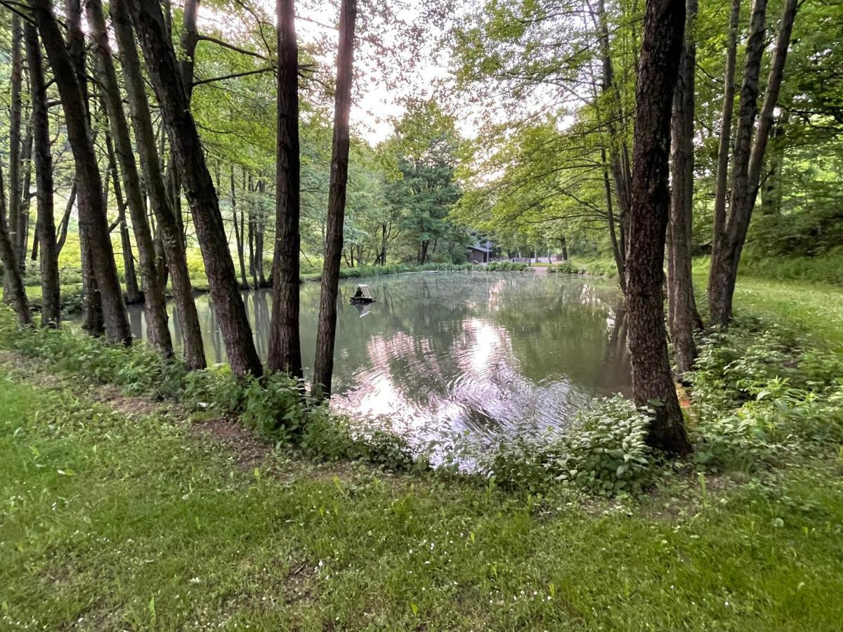 Ferienwohnung Up Willingen-Schwalefeld Willingen  Buitenkant foto