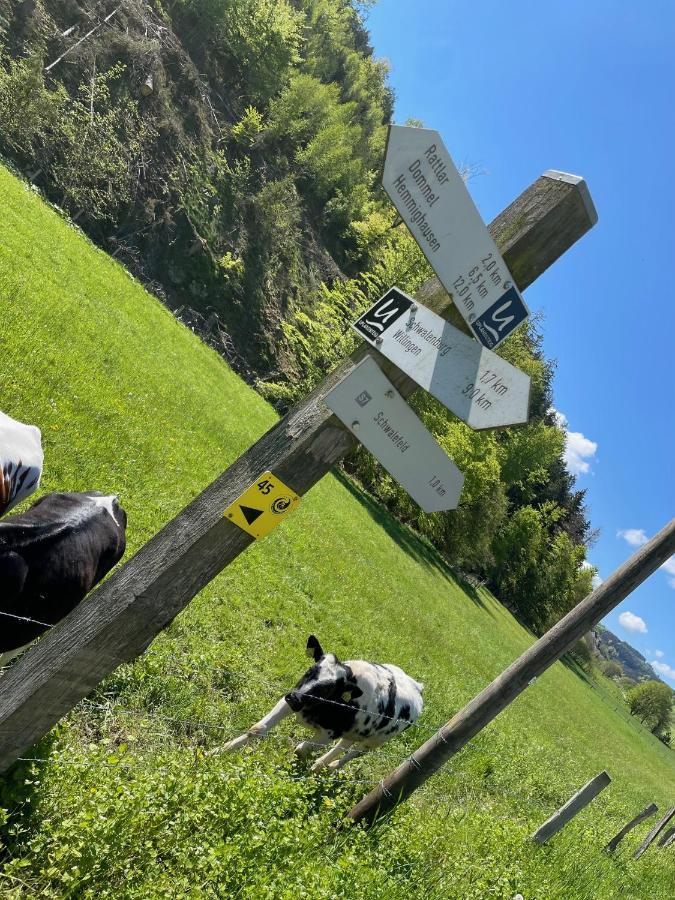 Ferienwohnung Up Willingen-Schwalefeld Willingen  Buitenkant foto