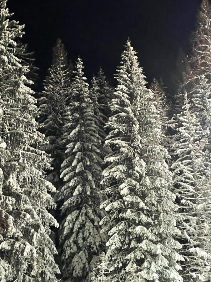 Ferienwohnung Up Willingen-Schwalefeld Willingen  Buitenkant foto