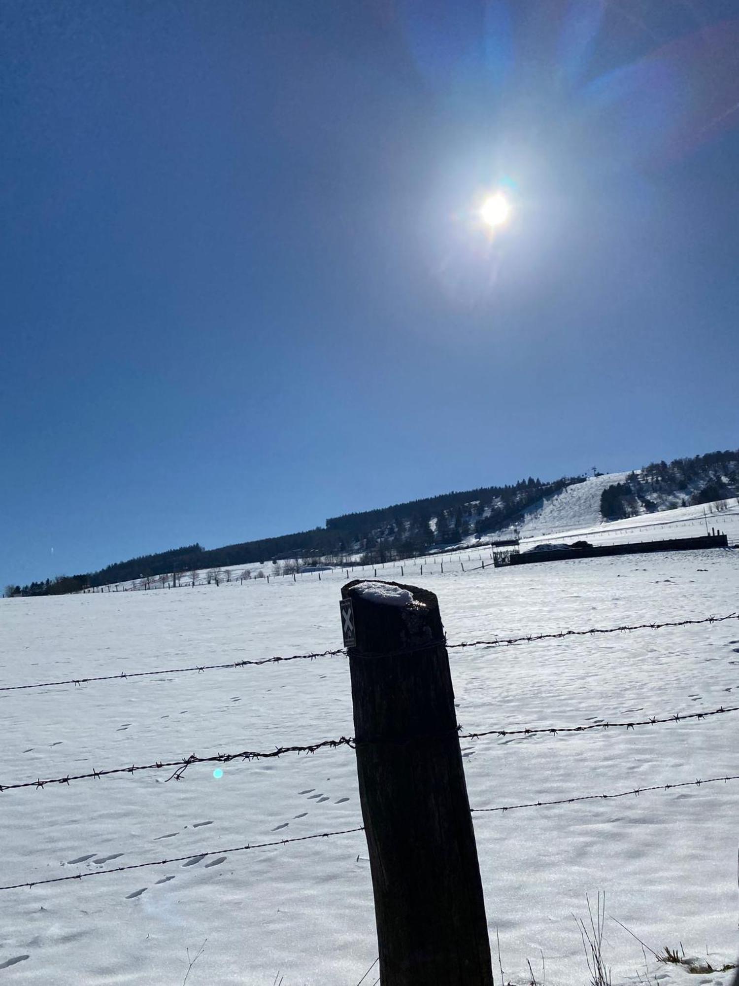 Ferienwohnung Up Willingen-Schwalefeld Willingen  Buitenkant foto