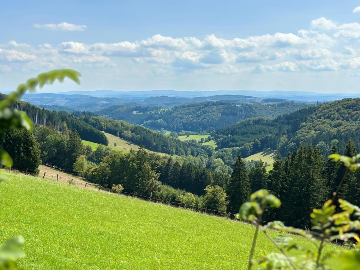 Ferienwohnung Up Willingen-Schwalefeld Willingen  Buitenkant foto